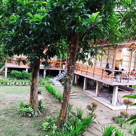 Bua Guesthouse Tangkahan 外观 照片