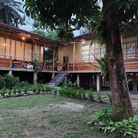 Bua Guesthouse Tangkahan 外观 照片