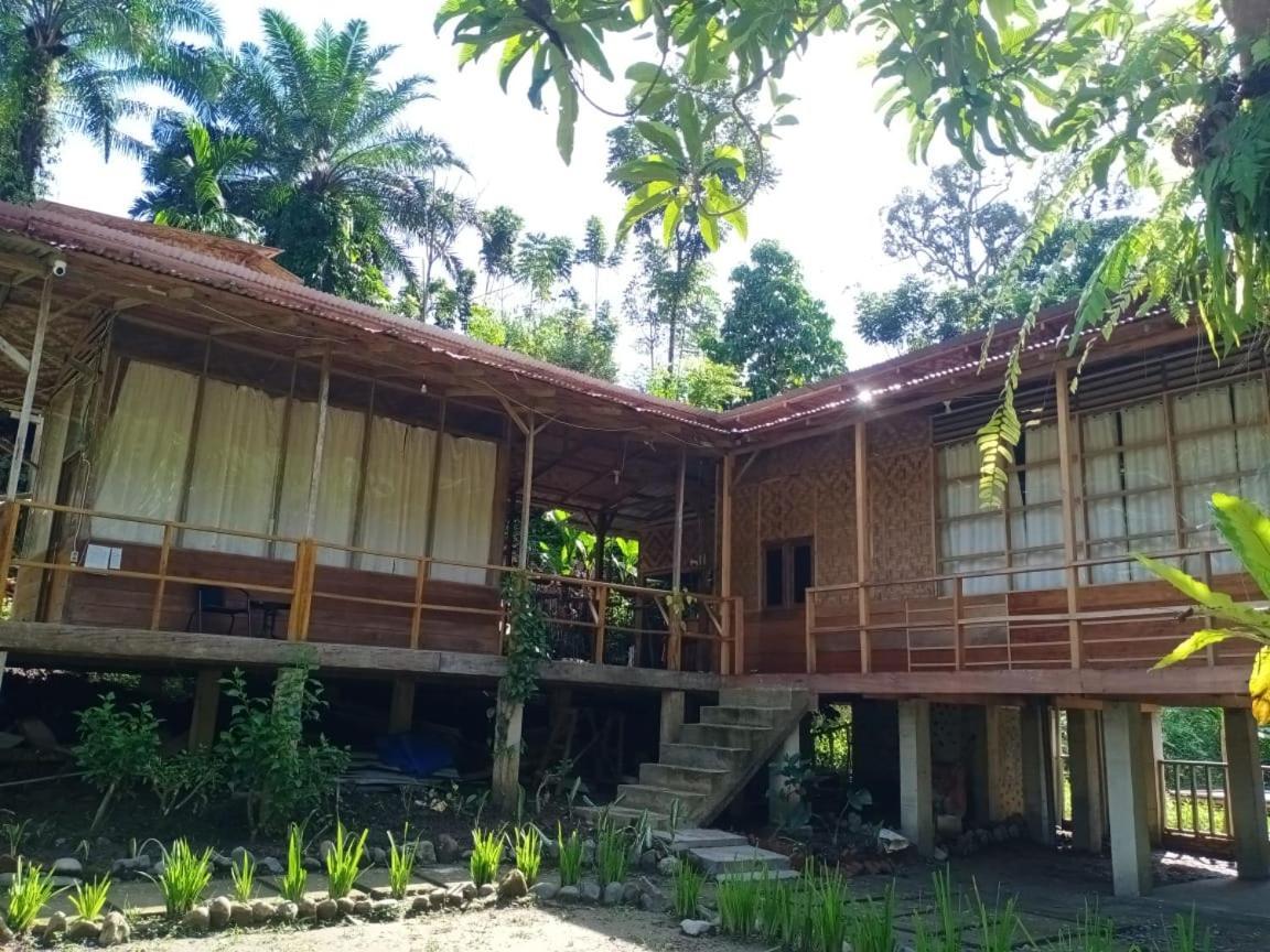 Bua Guesthouse Tangkahan 外观 照片