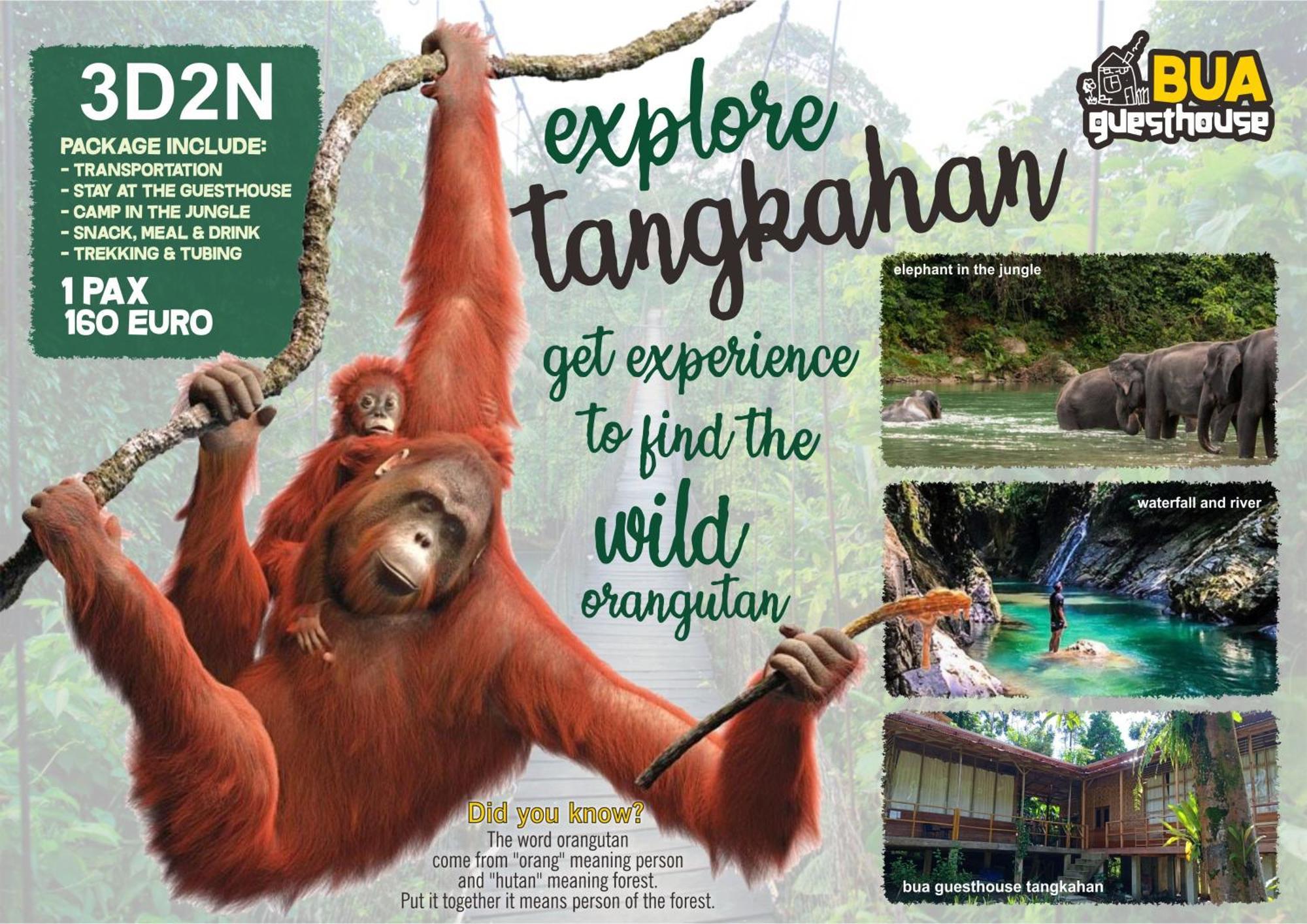 Bua Guesthouse Tangkahan 外观 照片