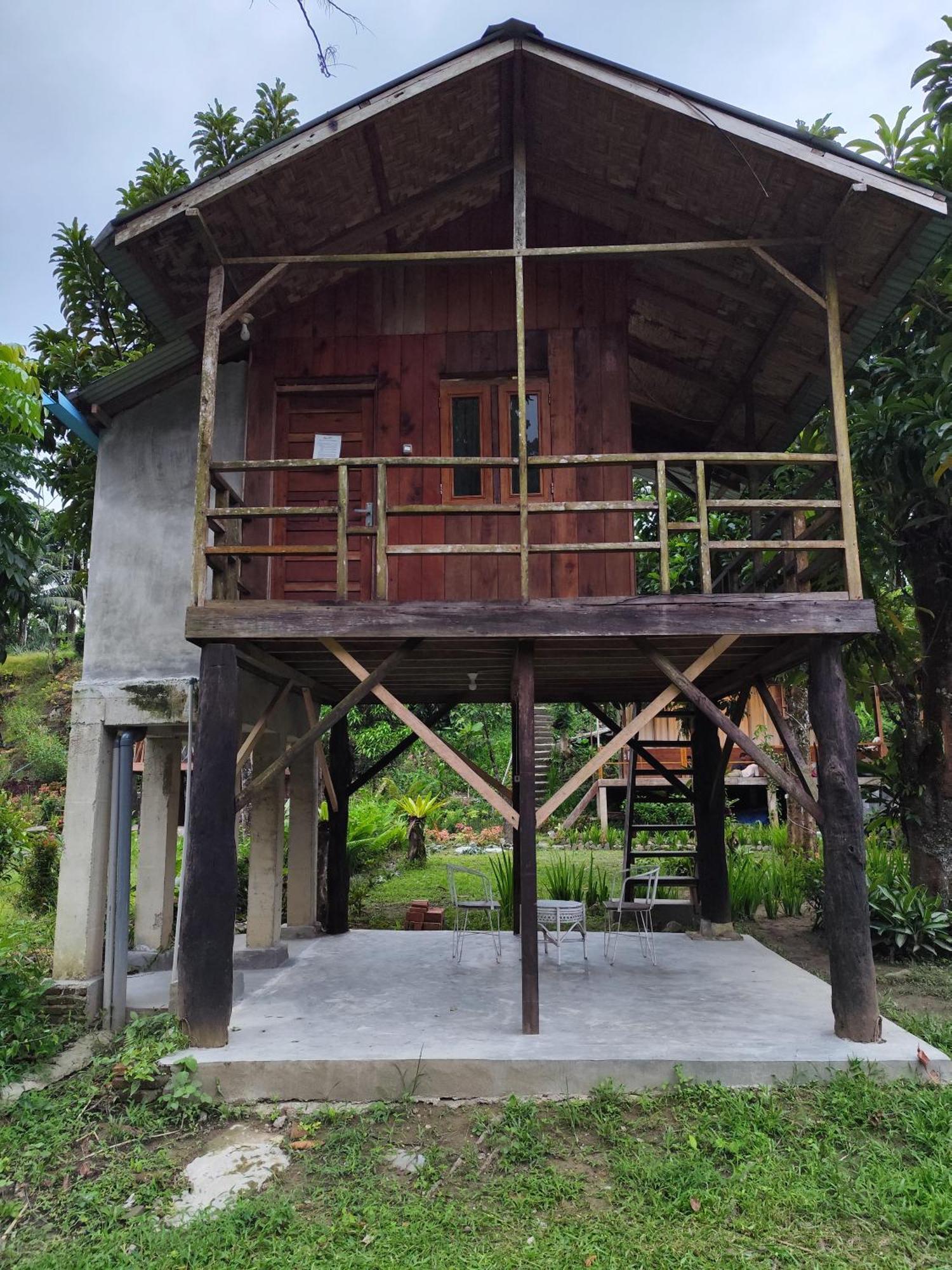 Bua Guesthouse Tangkahan 外观 照片