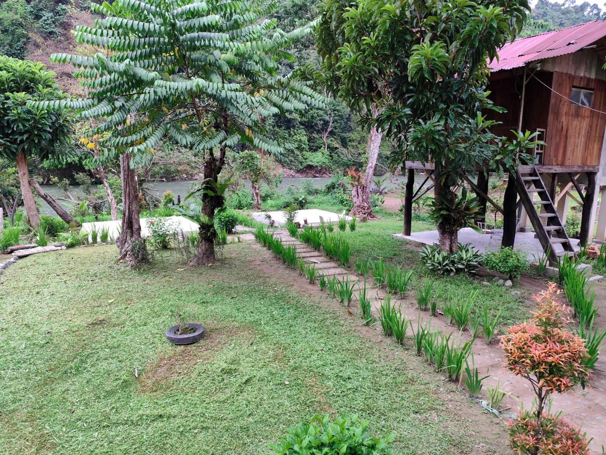 Bua Guesthouse Tangkahan 外观 照片